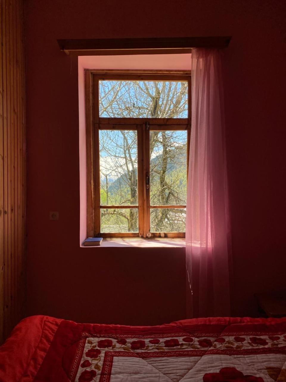 Lia Jamdeliani Guest House Bagvdanari Pokoj fotografie