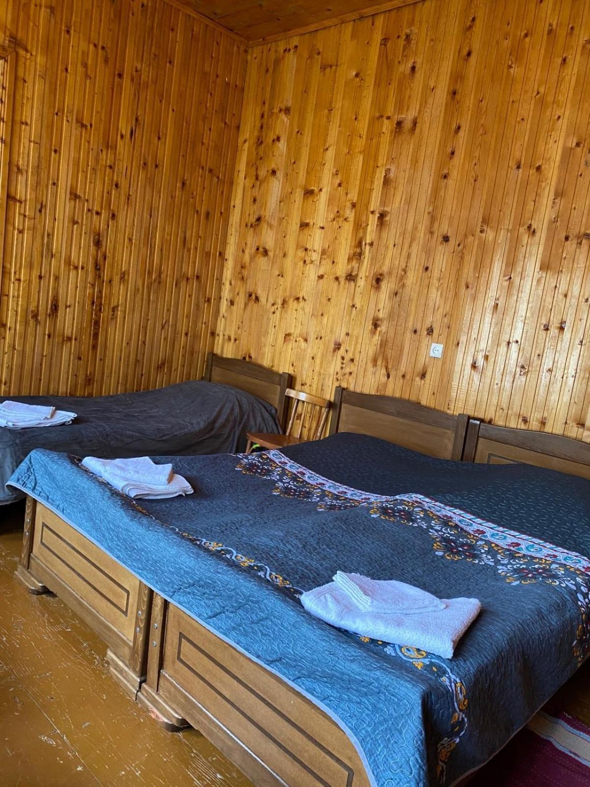 Lia Jamdeliani Guest House Bagvdanari Exteriér fotografie