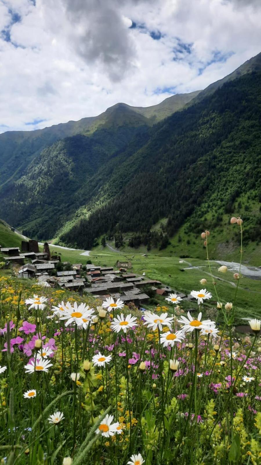 Lia Jamdeliani Guest House Bagvdanari Exteriér fotografie